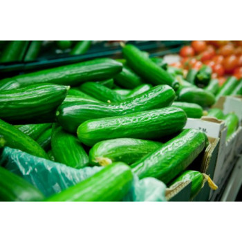 Cucumber 1kg
